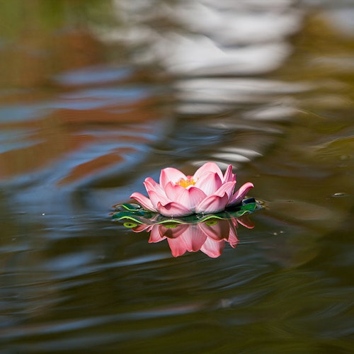 Künstliche Seerosen, 18cm, rosa (001122-00) Bild