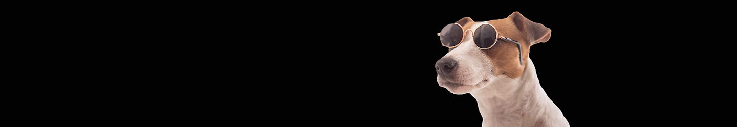 Hero Image