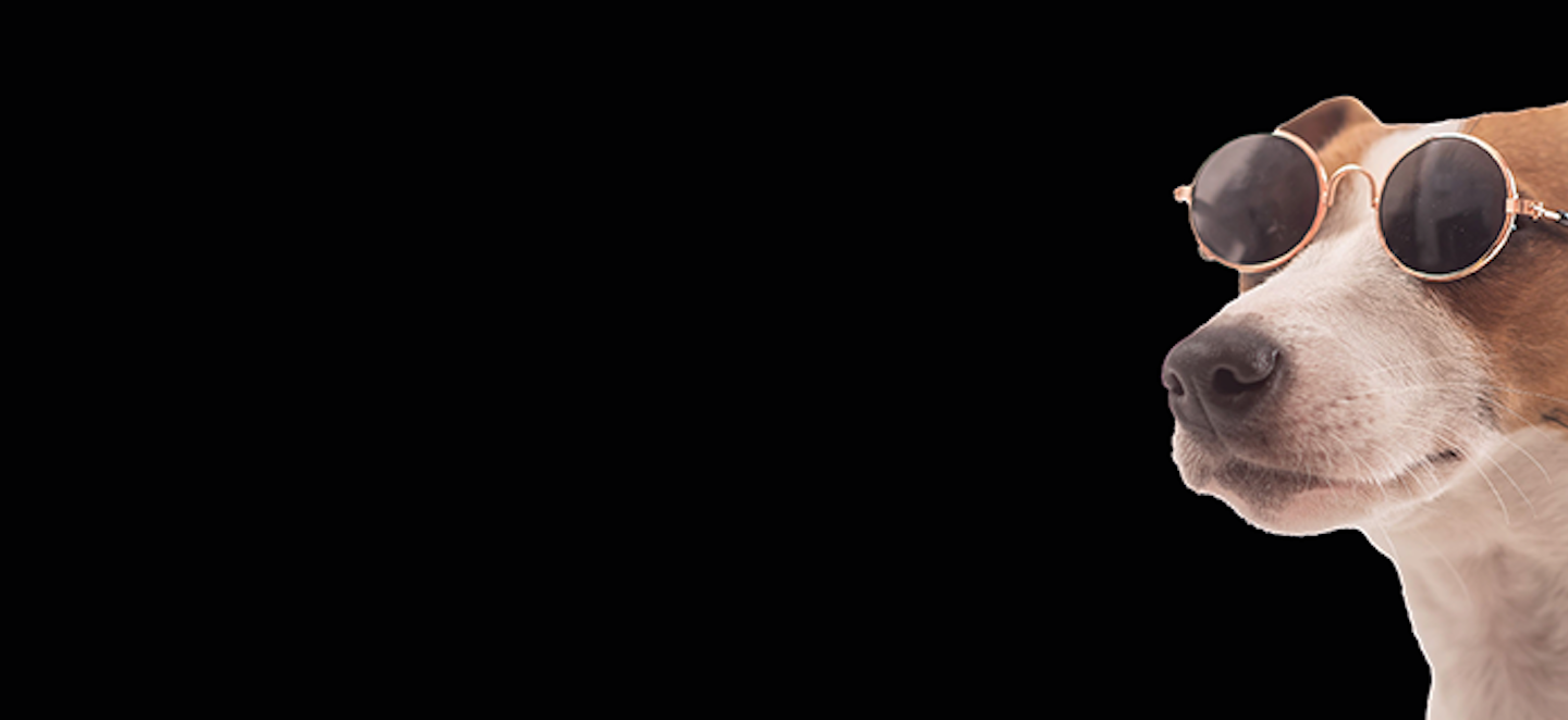 Hero Image