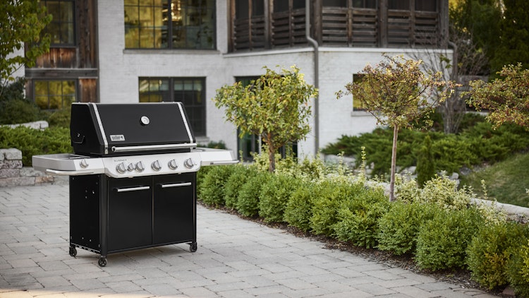 Weber Gasgrill SUMMIT FS38 E Bild