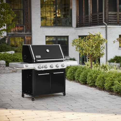 Weber Gasgrill SUMMIT FS38 E Bild