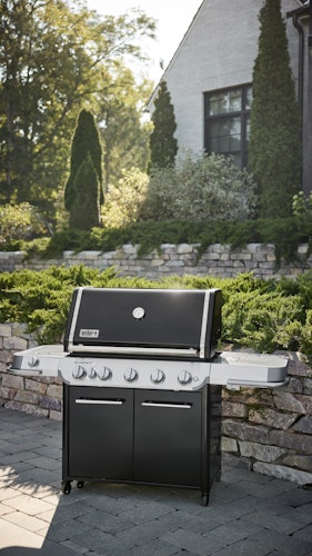 Weber Gasgrill SUMMIT FS38 E Bild