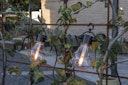 Vorschaubild Konstsmide LED Biergartenkette Dimmer 20 Dioden Bild