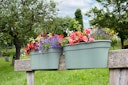 KHW Flowerclip XL, 2er Set