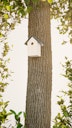 Vorschaubild Alberts® Schutzspitzdach für Futterhaus