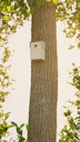 Alberts® U-Schutzdach für Futterhaus