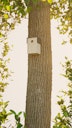 Vorschaubild Alberts® U-Schutzdach für Futterhaus