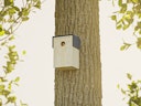 Vorschaubild Alberts® U-Schutzdach für Futterhaus