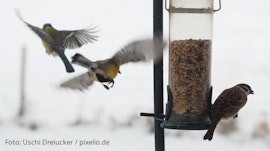 Vogelhäuser & Futterspender