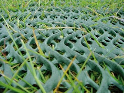 NOOR Rasenschutzgitter Premium Grün 0,60 x 0,80m