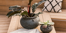 Plant Pot Ensio schwarz antik