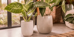 Plant Pot Nilas weiß