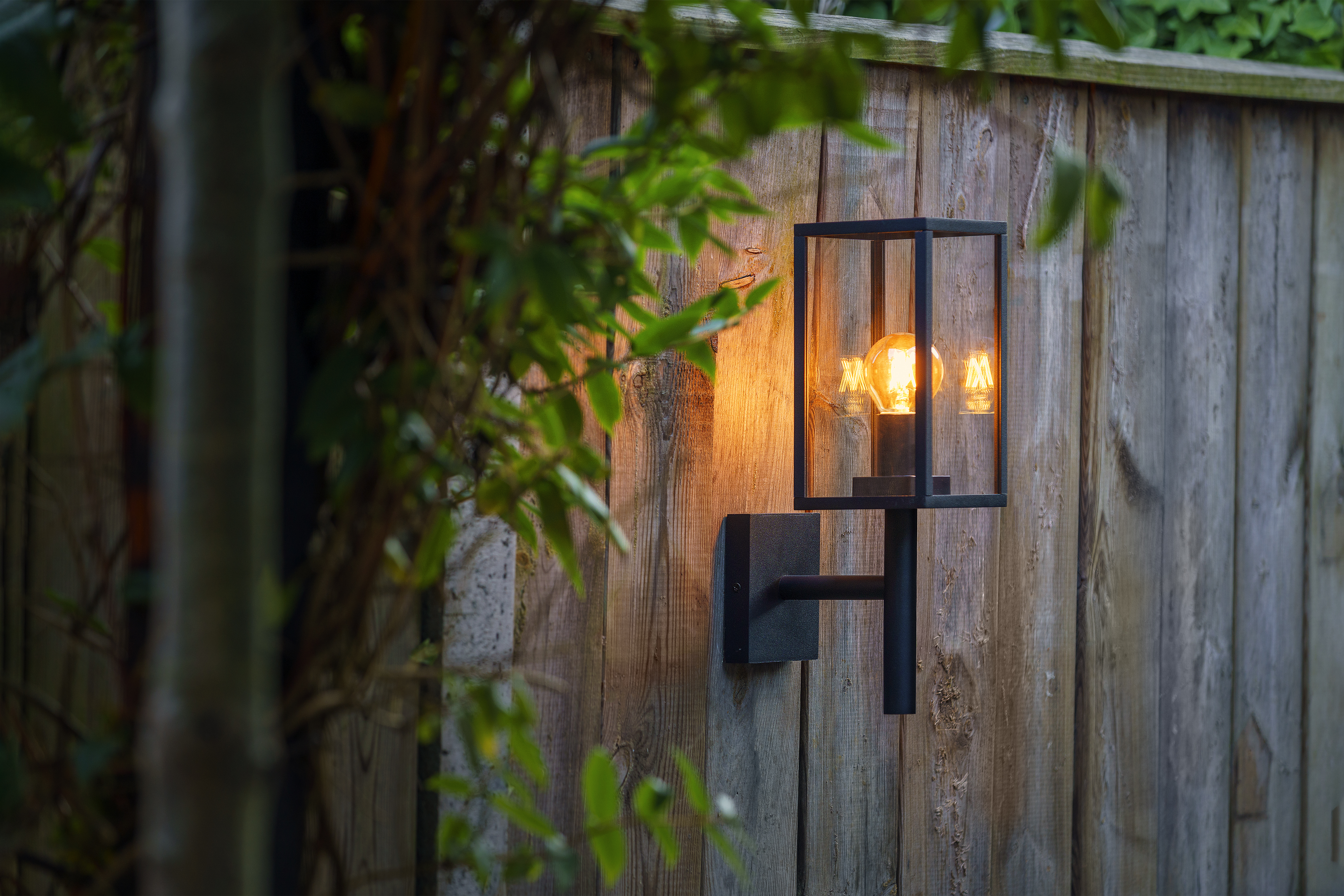 Vorschaubild Galerie T&J TEJELIGHT REGULUS Wandlampe ALU schwarz