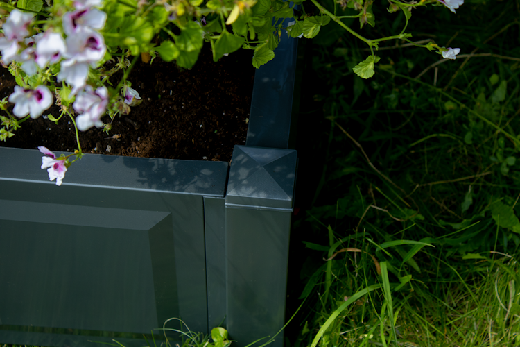 KHW Gartenbank Amsterdam mit Rosenbogen und Spalier Bild