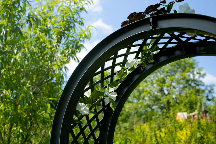 KHW Gartenbank Amsterdam mit Rosenbogen und Spalier Bild