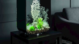 Aquarium Life LED