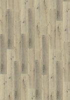 KWG Trend Comfort Baroloeiche Designboden Solidtec 123x22,8 cm