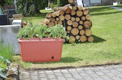 KHW Pflanzkasten Ambizioso mit Rollen