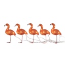 Vorschaubild Konstsmide Weihnachtsbeleuchtung  LED Acryl Flamingos 5er-Set