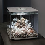 Aquarium Cube LED