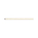 Paulmann MaxLED 1000 LED Strip Warmweiß Einzelstripe 1m