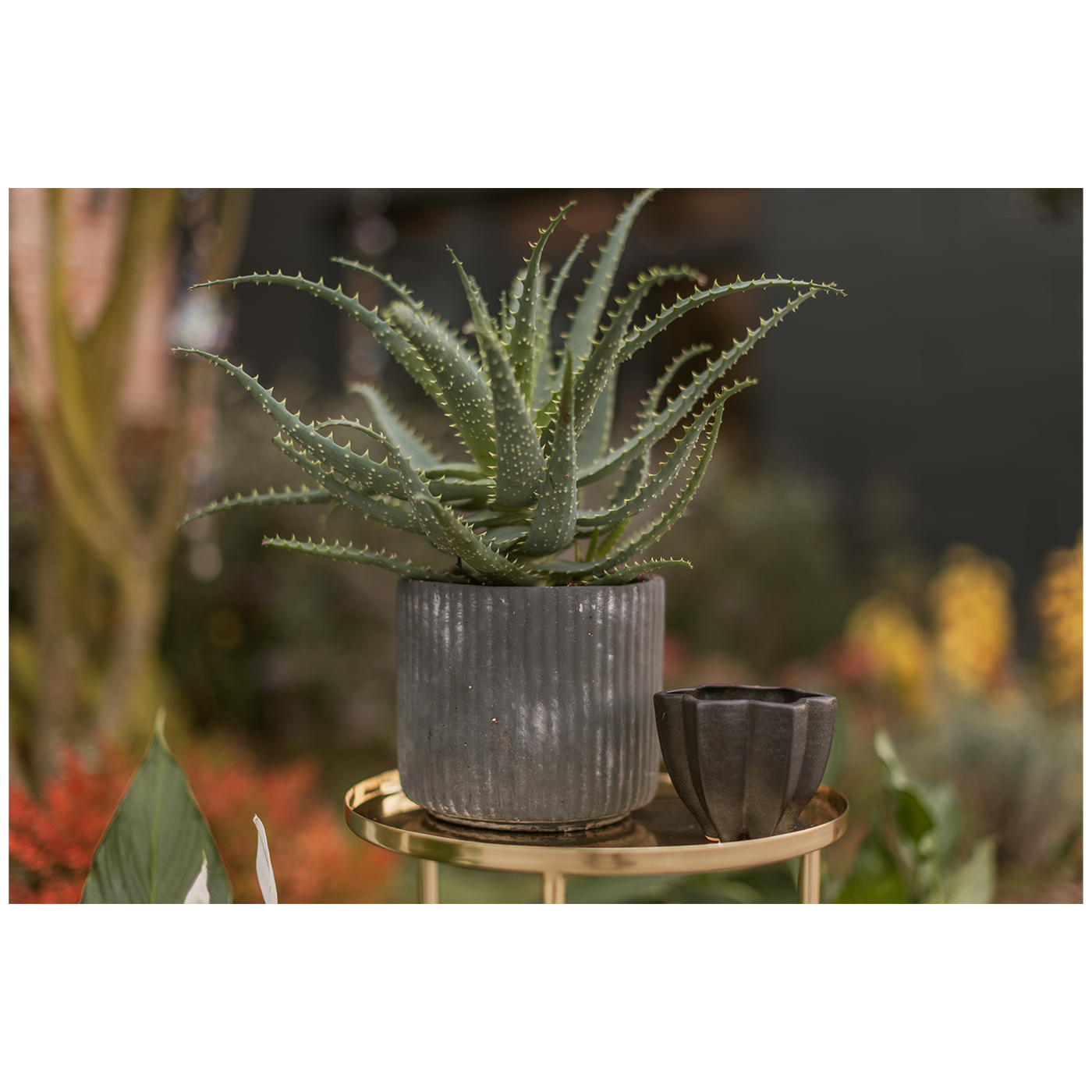 Vorschaubild Galerie Wikholm form Design Pflanzgefäß / Blumentopf 3er Set schwarz ⌀ 14 x H:12 cm / 17 x H: 15 cm / 19 x H: 18 cm
