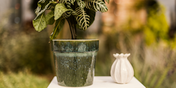 Plant Pot Set Erik