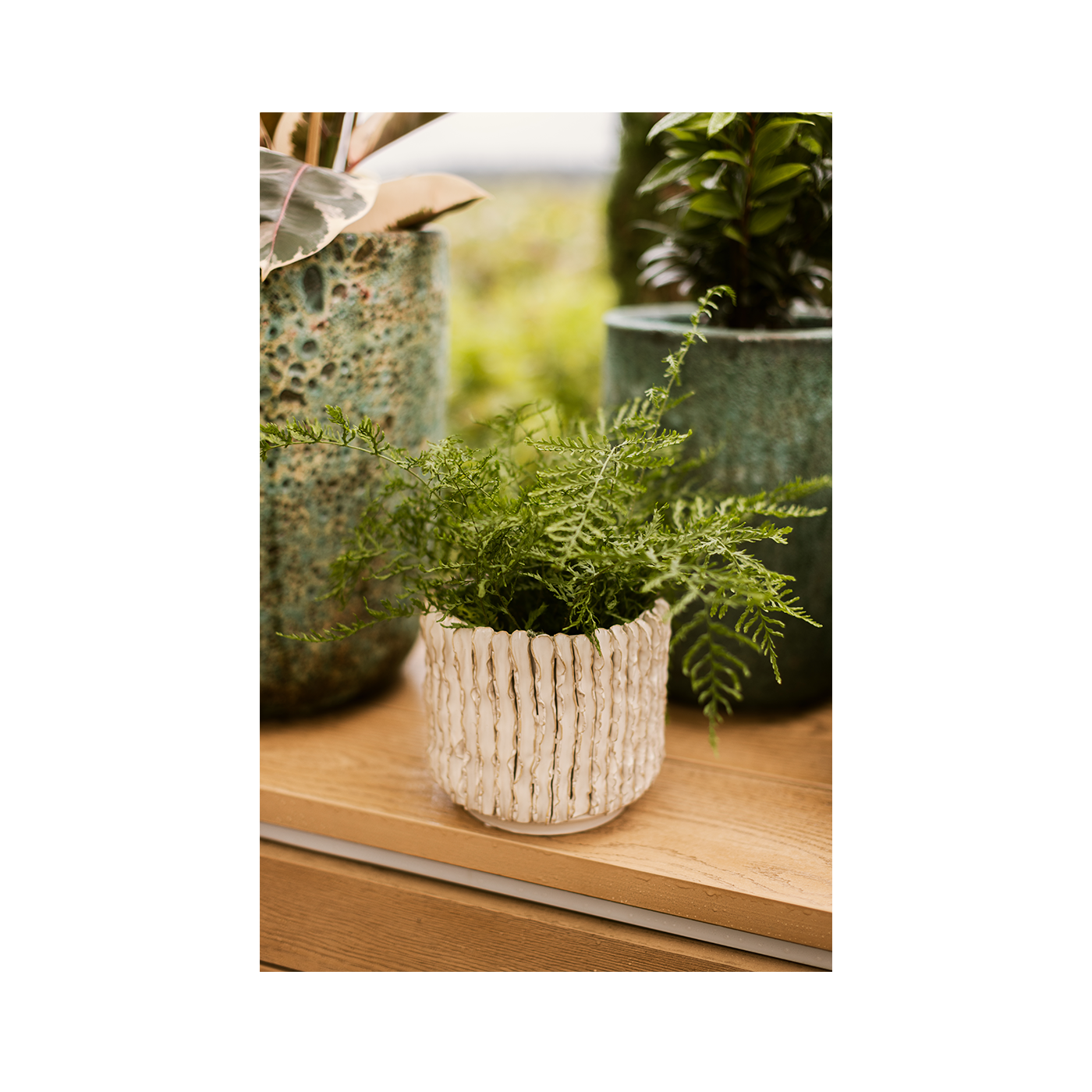 Vorschaubild Galerie Wikholm form Design Pflanzgefäß / Blumentopf Terrakotta creme ⌀ 15 x H 17 cm
