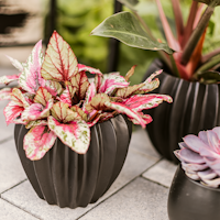 Plant Pot Niilo, schwarz