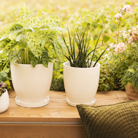 Plant Pot Pamu, creme