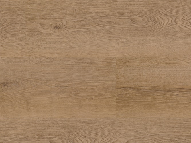 SPC Strong Variant Bodenbelag  Glacier Oak