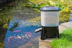 Ubbink Koi Feeder - Automatischer Solar-Fischfutter-Spender