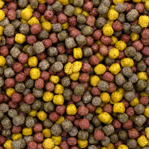 Ubbink Fish Mix - Menu Universal 3mm - mehrfarbiges Alleinfutter in 3 mm-Pellets, alle Fische mit einer Größe von 10 bis 25 cm, Zusammensetzung: Proteine 31 %, Lipide 5 %, Spirulina und Astaxanthin 1 mg/kg - 3,5 l Bild