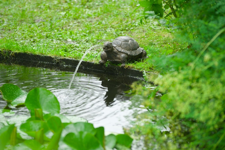 Ubbink Wasserspeier Schildkröte Bild