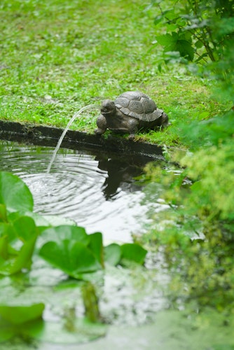 Ubbink Wasserspeier Schildkröte Bild