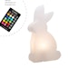 8 seasons design LED-Dekoleuchte Shining Rabbit 50 cm (RGB)Bild