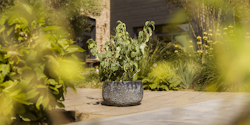 Plant Pot Aatami schwarz antik