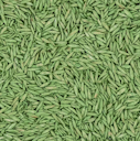 Vorschaubild COMPO SAAT® Trocken-Rasen 2 kg für 80 m²