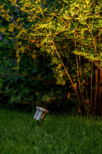 Garden Lights Strahler Catalpa