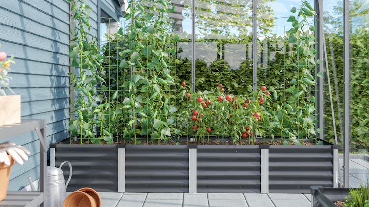 Vitavia Hochbeet Meta IN&OUT 401 L 65 x 245 cm