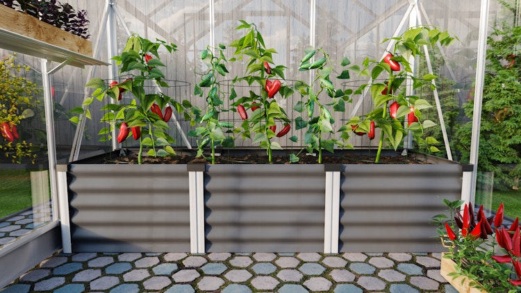 Vitavia Hochbeet Meta IN&OUT 401 S 65 x 185 cm