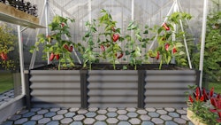 Vitavia Hochbeet Meta IN&OUT 401 S 65 x 185 cm