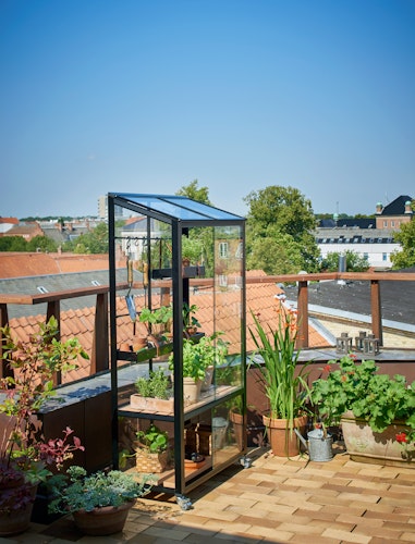 Juliana Gewächshaus Urban City Greenhouse - 0,32 m²