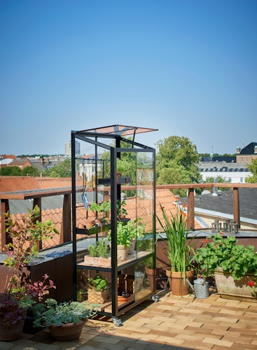 Juliana Gewächshaus Urban City Greenhouse - 0,32 m²