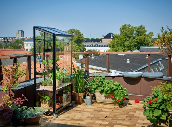 Juliana Gewächshaus Urban City Greenhouse - 0,32 m²