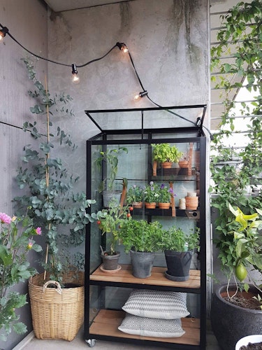 Juliana Gewächshaus Urban City Greenhouse - 0,32 m²