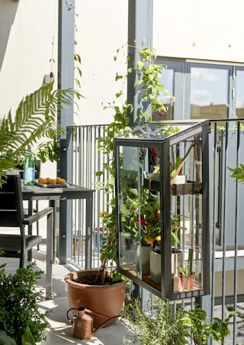 Juliana Gewächshaus Urban Balcony - 0,16 m²