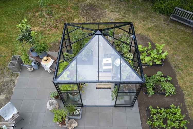 Halls Gewächshaus Qube Square - 6,3 m²