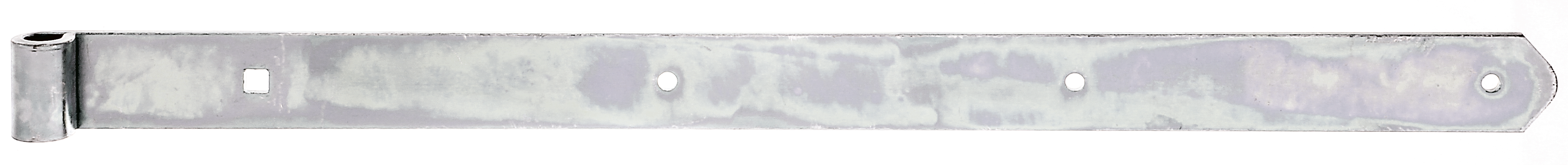 Alberts® Ladenband, gerade, Abschluss abgerundet, galvanisch verzinkt dickschichtpassiviert, LxB 600x40 mm, Rolle ⌀13 mm 