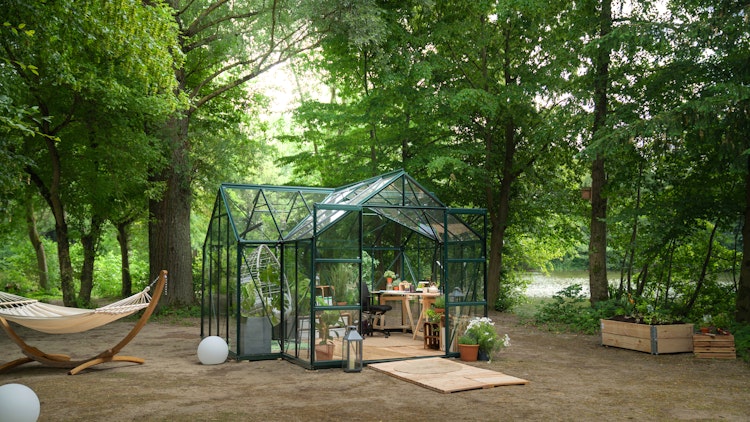 Vitavia Gewächshaus Sirona/Sirius Orangerie inkl. 4 Dachfenstern - 13,0 m² Bild